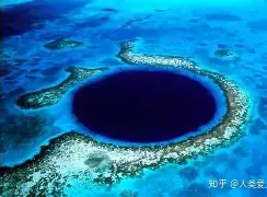 莱万多夫斯基败北后续来了(莱万多夫斯基伤停)|VG捕鱼下载